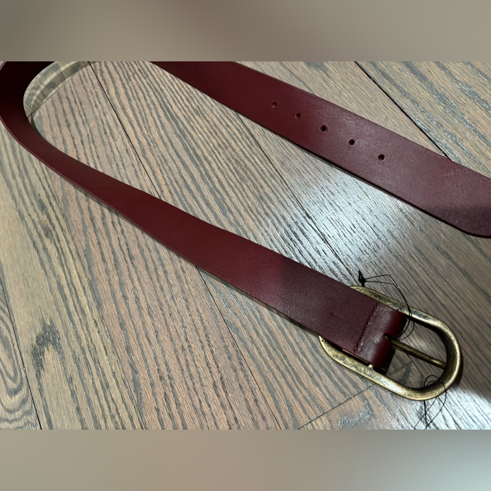 NWT Women’s martina mori belt brown